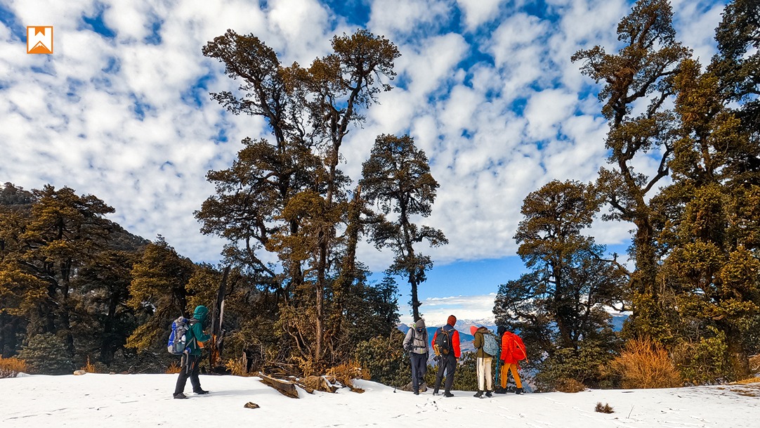 Brahmatal vs Kedarkantha – Two Winter Treks, One Himalayan Heart