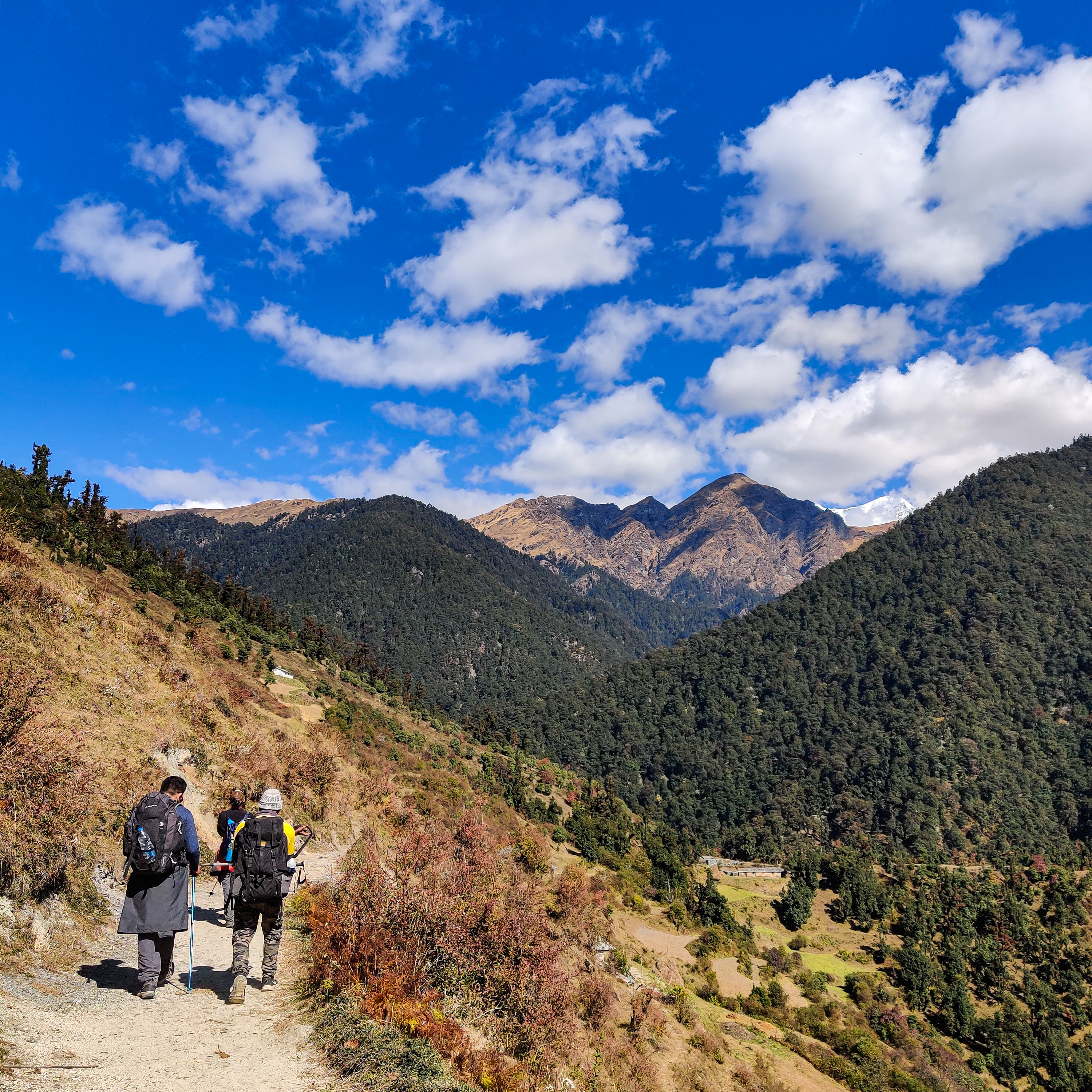 Why You Should Do Ali Bedni Bugyal Trek