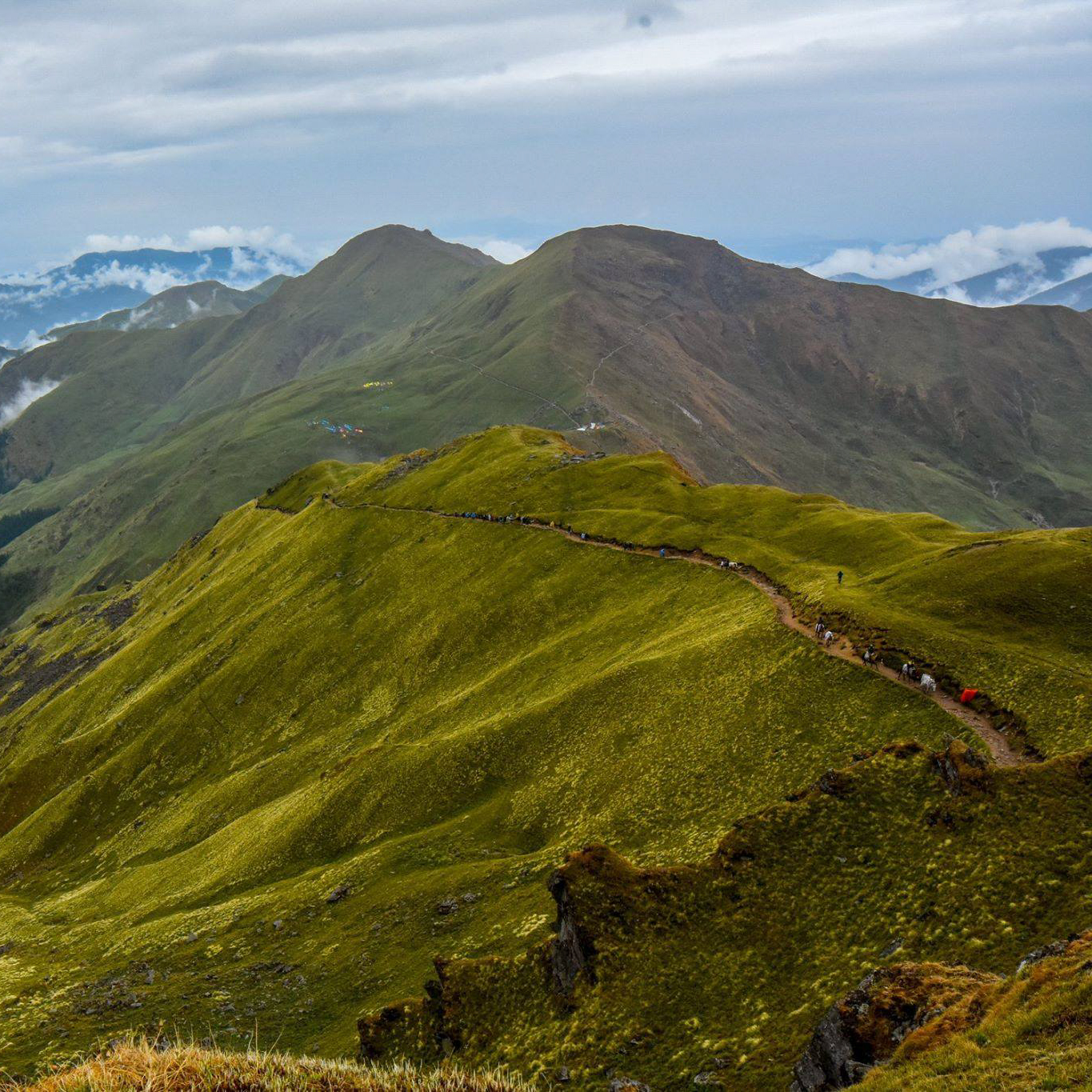 Exploring the Beauty of Ali Bedni Bugyal Trek: A Solo Adventure