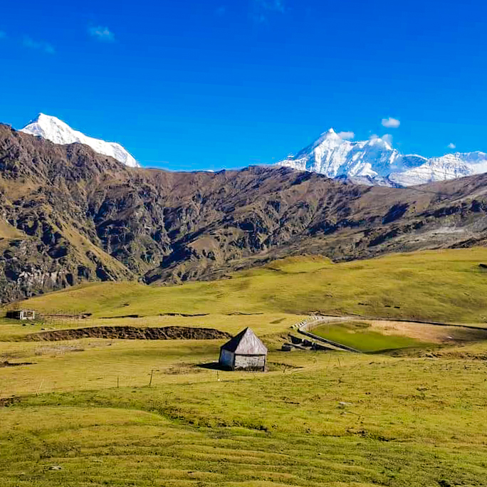 Uncovering the Hidden Wonders Of Ali Bedni Bugyal Trek: A Comprehensive Guide