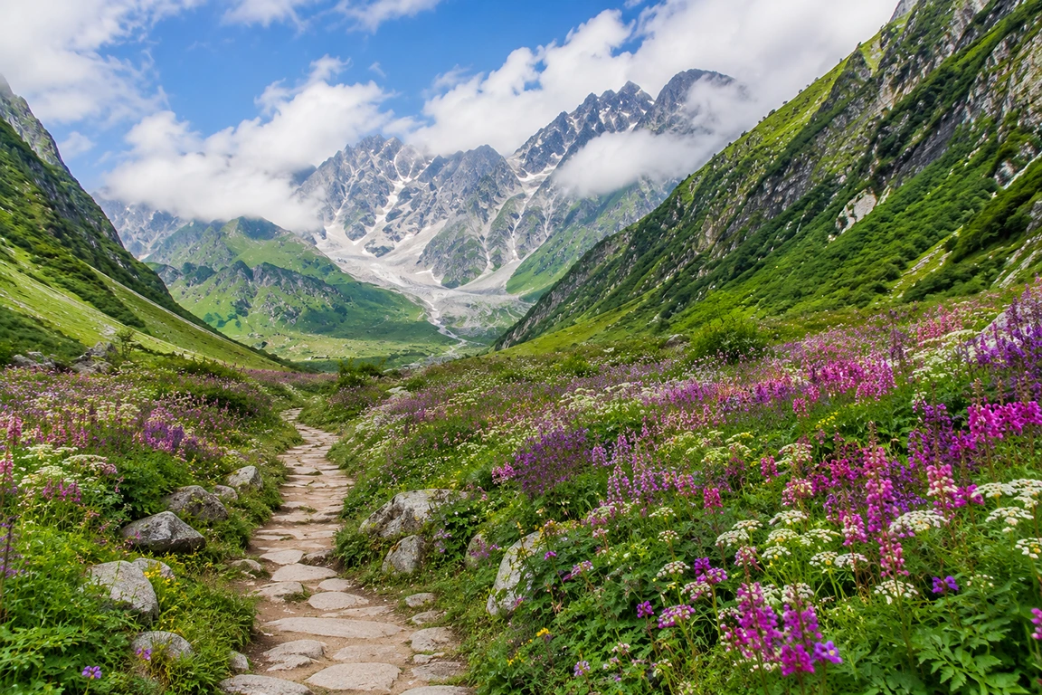 How to Reach Valley of Flowers from Ahmedabad