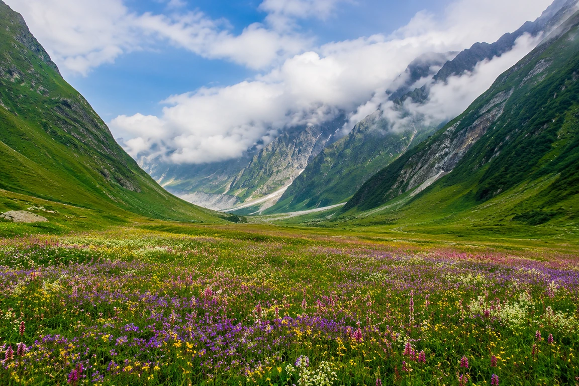 Valley of Flowers Trek Cost Guide 2026: Complete Budget Breakdown from Gujarat