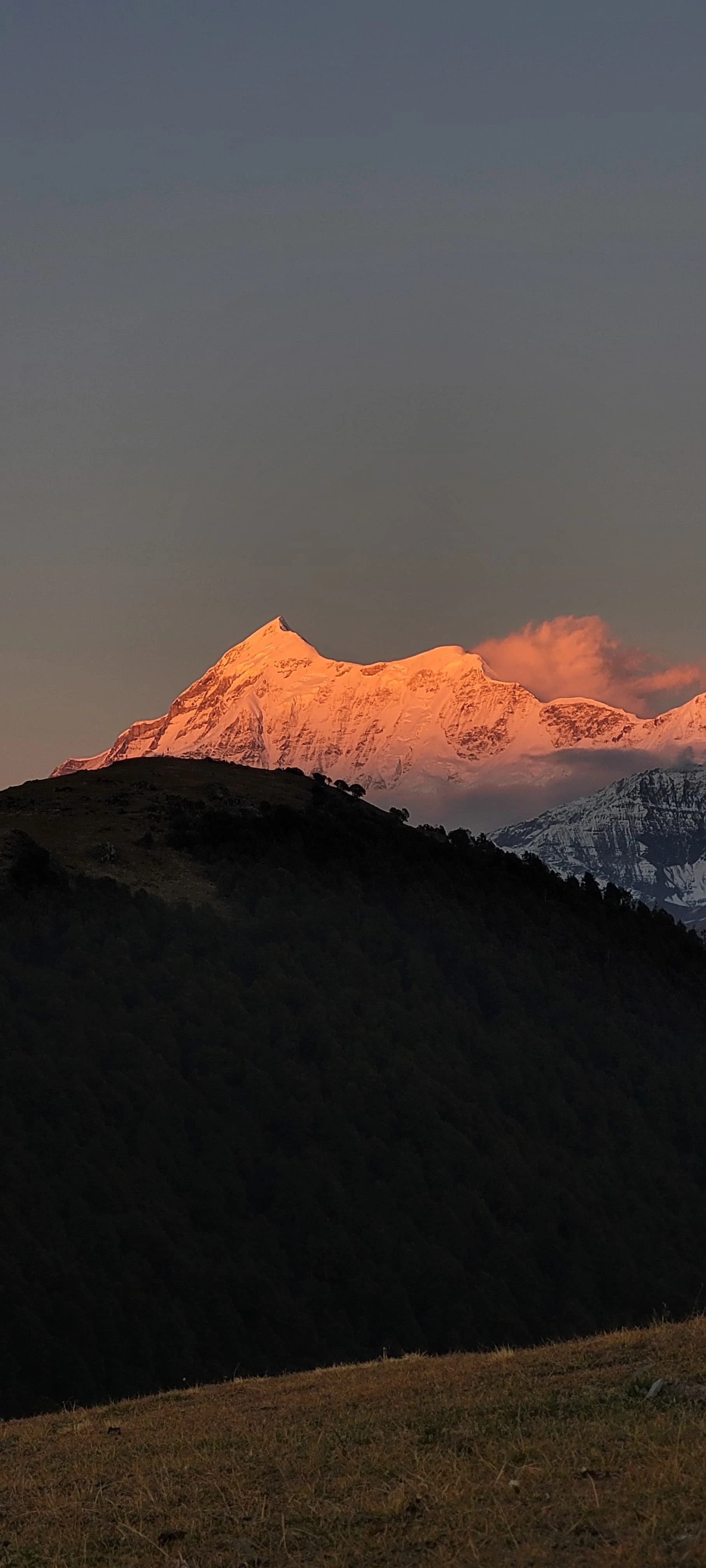 Brahmatal Trek - Image 12