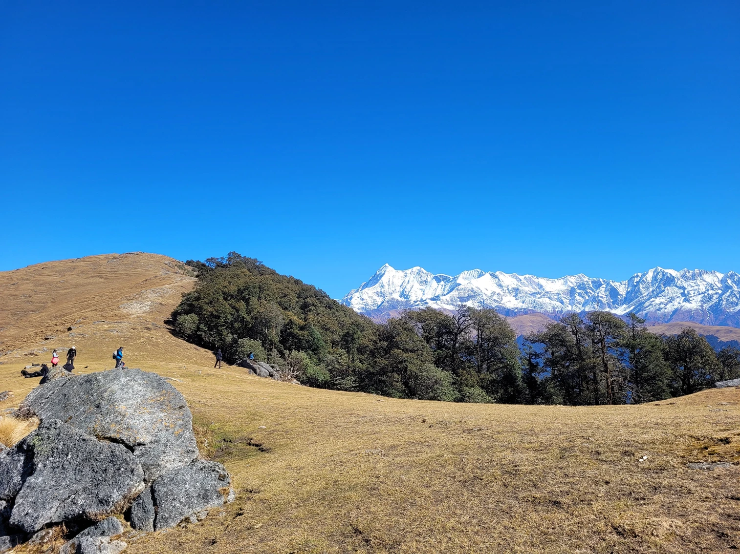 Brahmatal Trek - Image 17