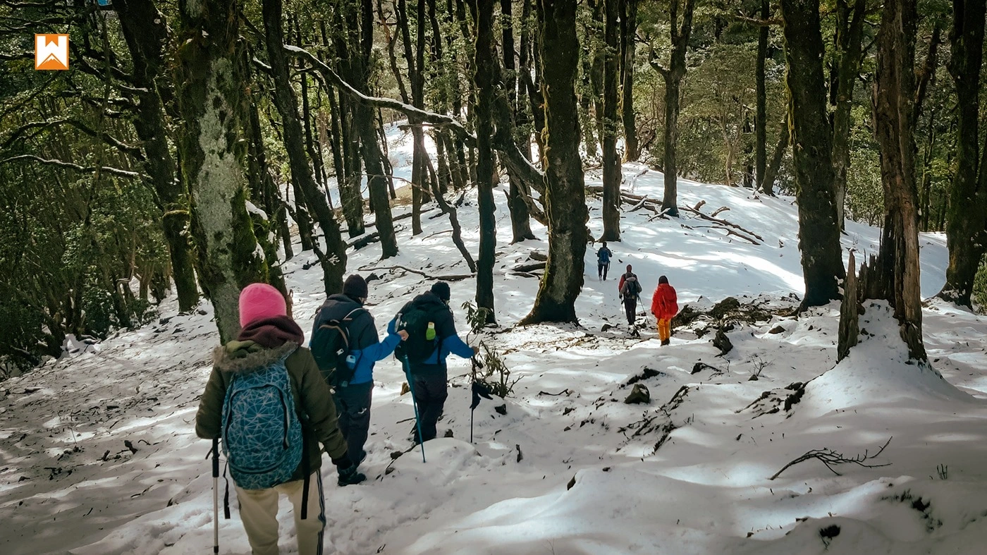 Muniyal Top Trek - Image 12