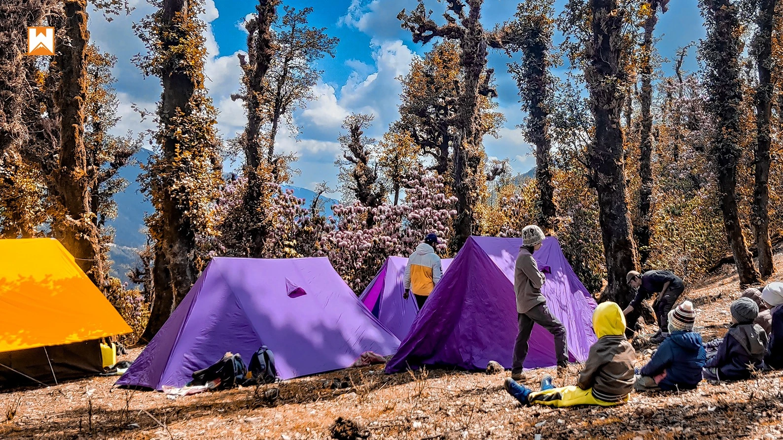 Muniyal Top Trek - Image 17