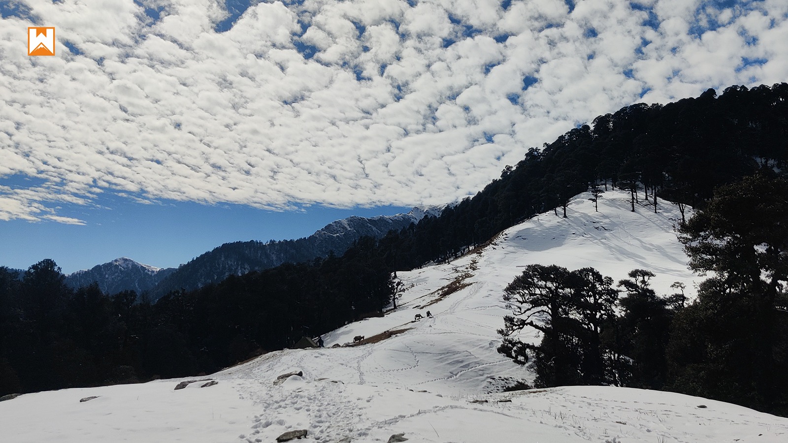 Muniyal Top Trek - Image 25