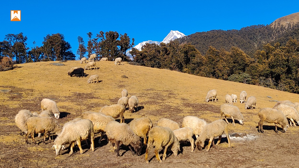 Muniyal Top Trek - Image 18