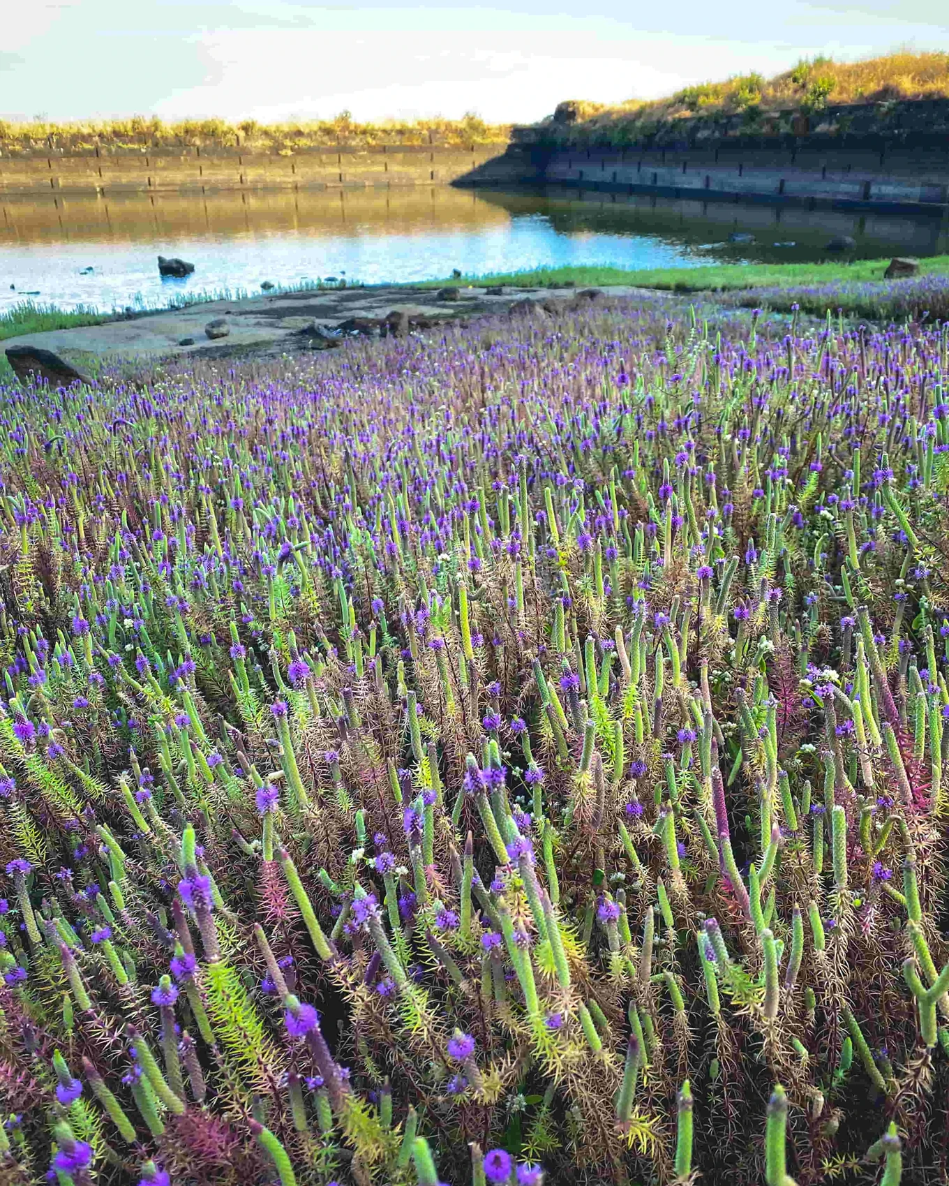 Salher fort trek - Image 20