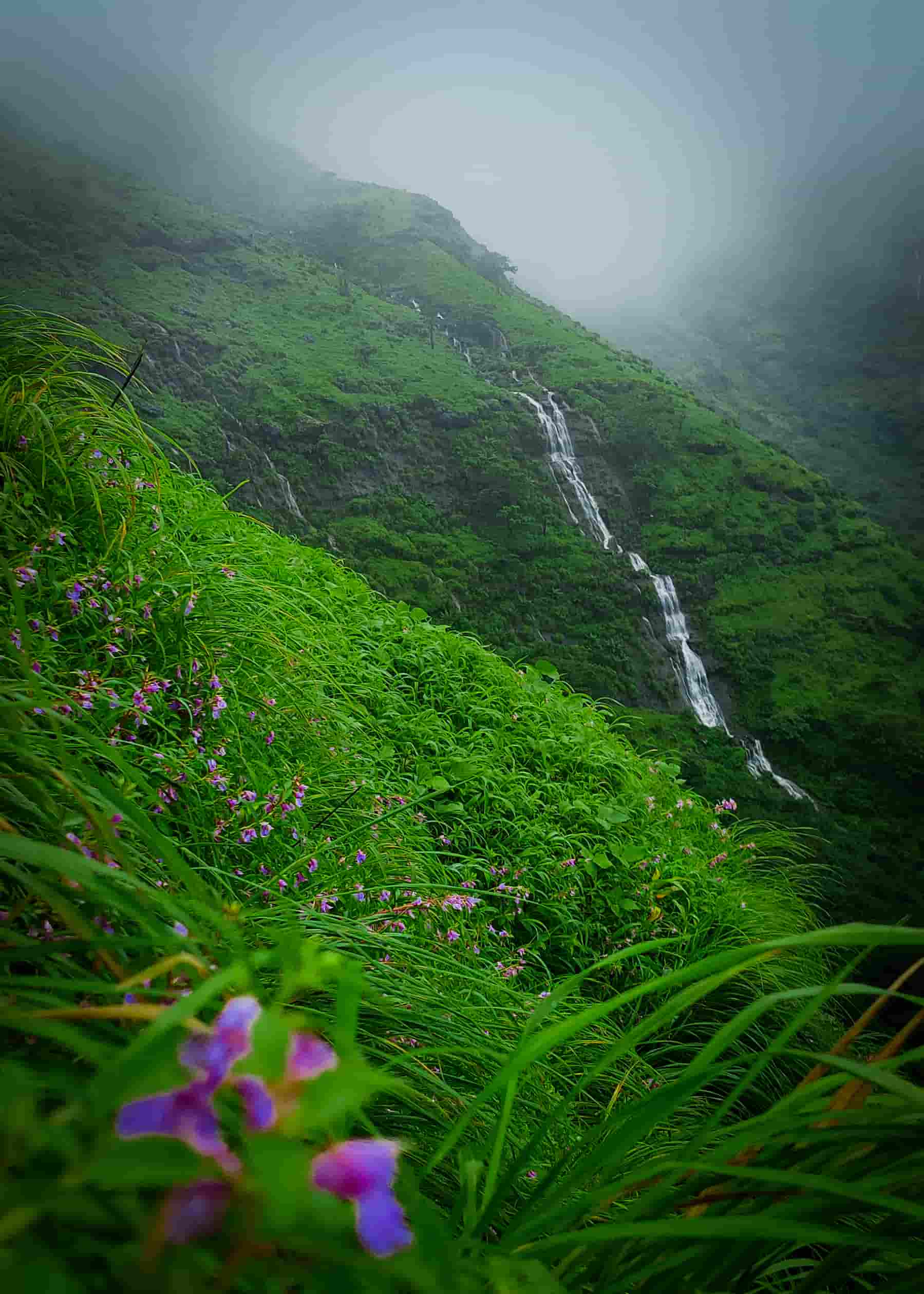 Trek to Bhavanigadh