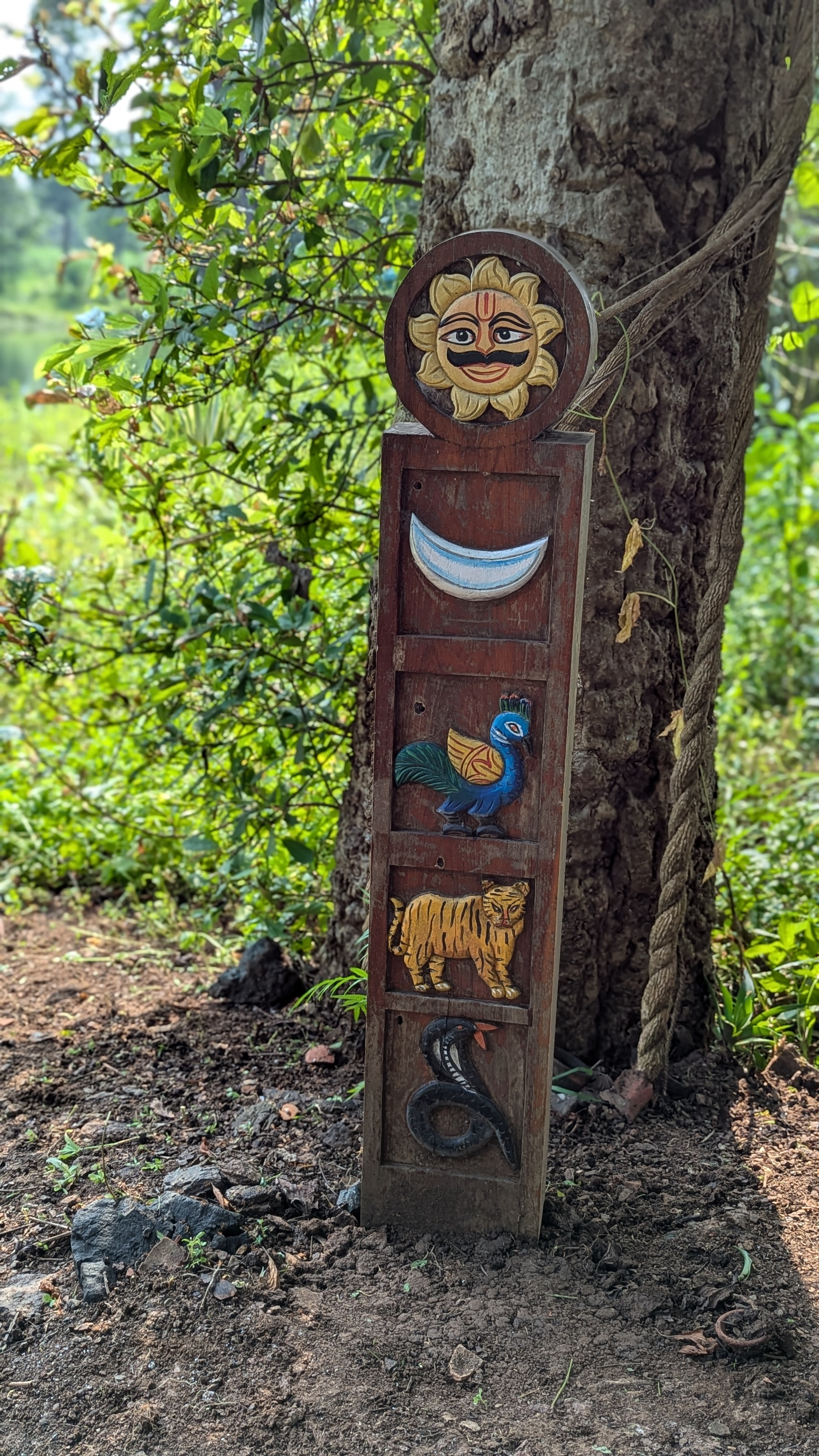 Nature education camp