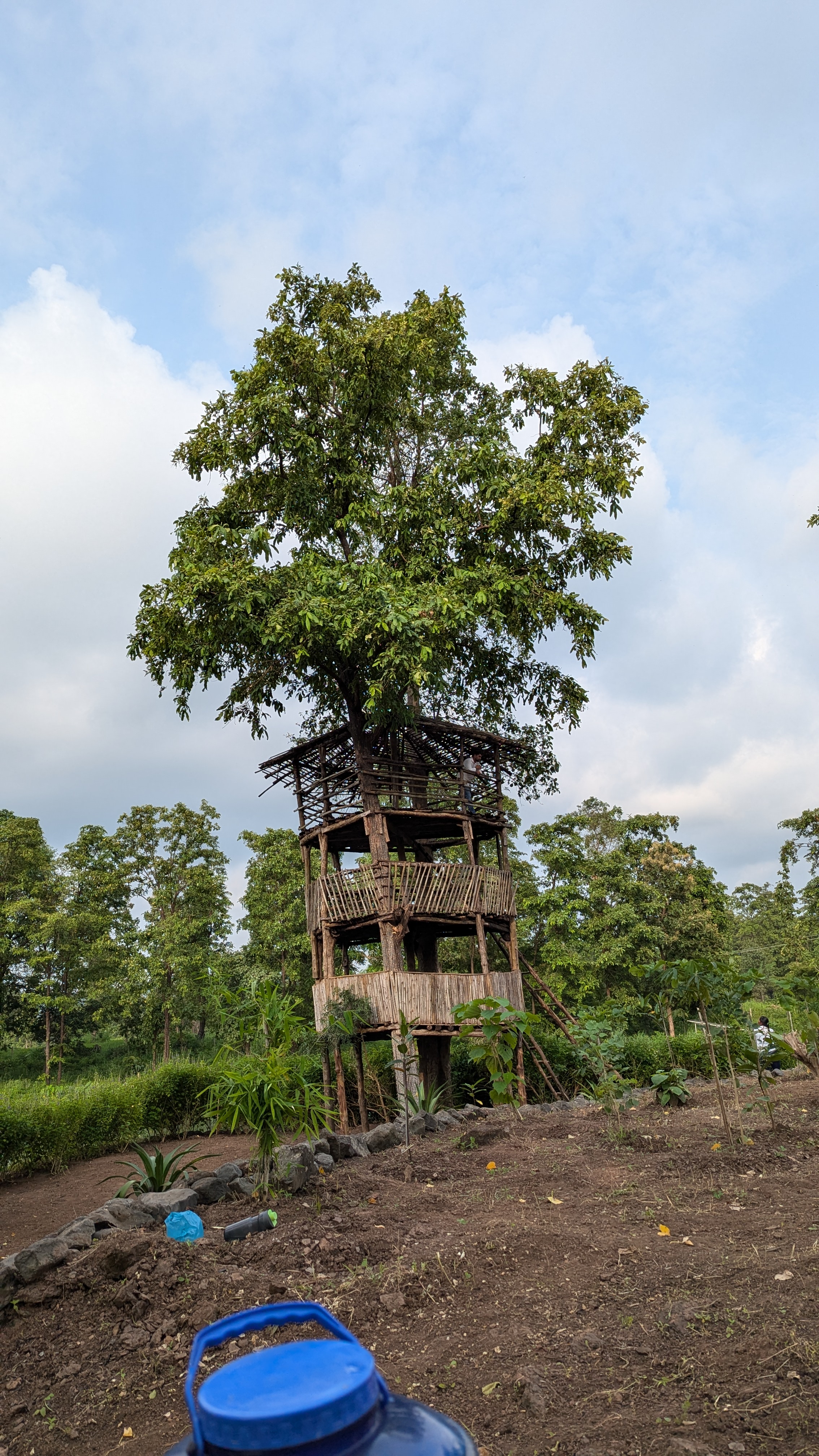 Nature education camp