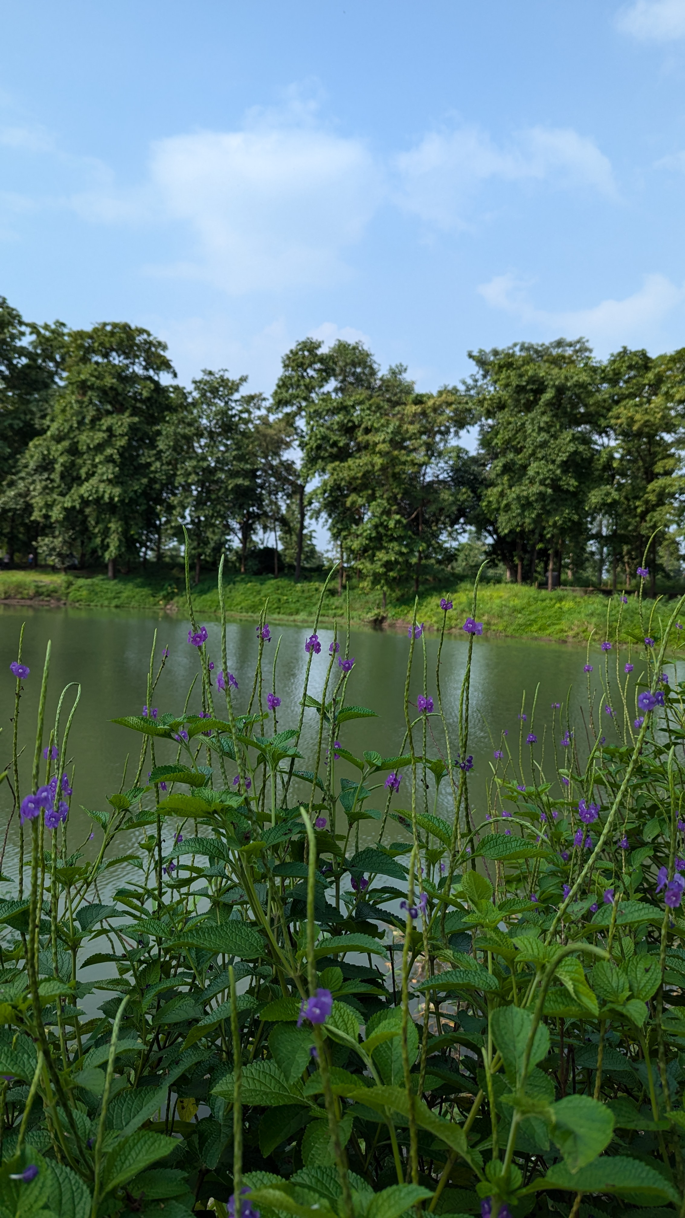 Nature education camp