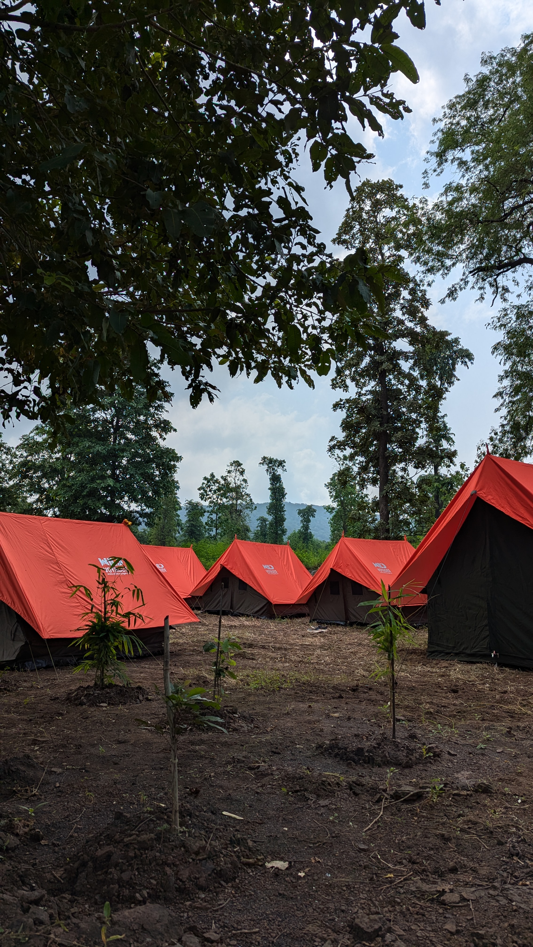 Nature education camp