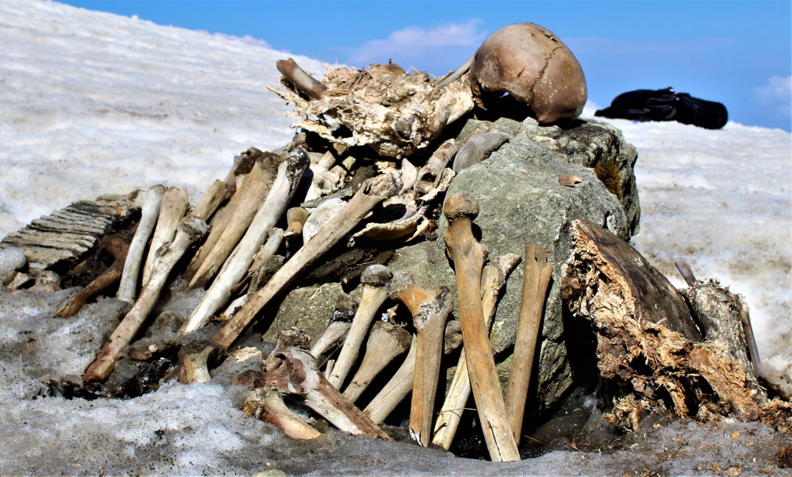 Roopkund trek