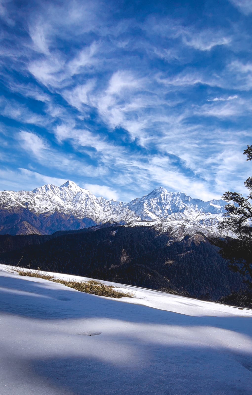 Muniyal Top Trek - Image 10