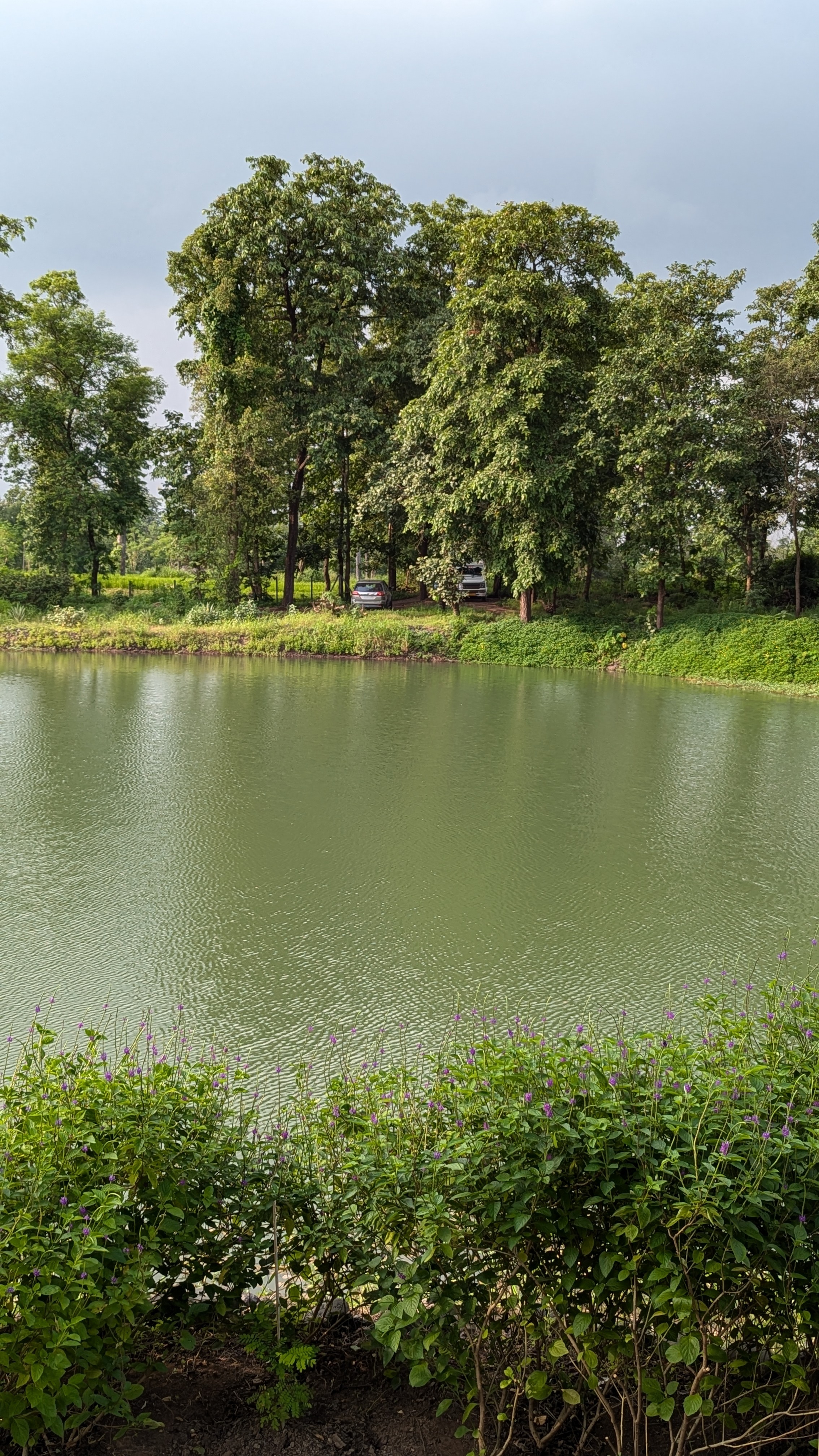 Nature education camp