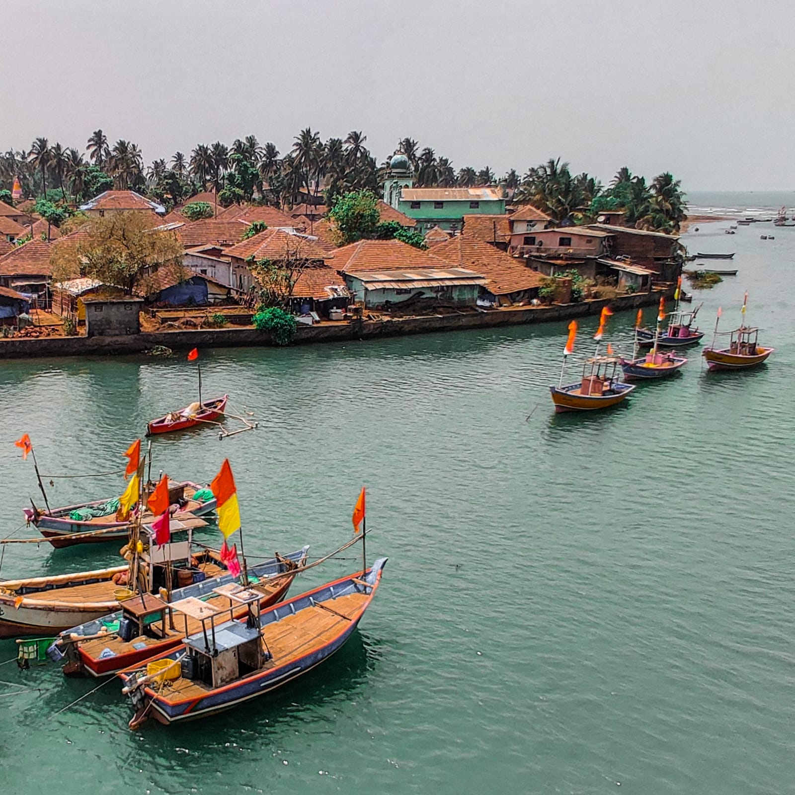 Anjarle Turtle Festival